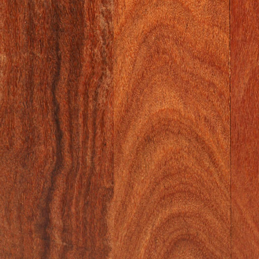 Wood species image of Cumaru, Brazilian Teak